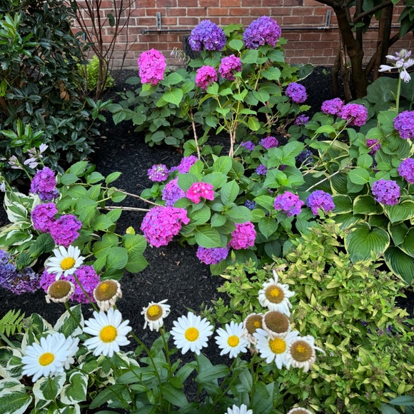 Meet your Posher, M - Picture 2 of 2